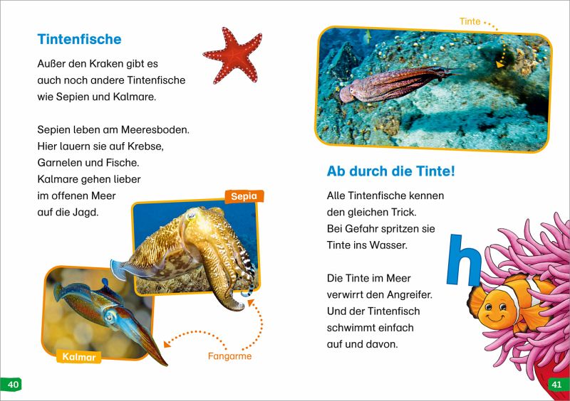 WAS IST WAS Erstes Lesen Easy! Band 2. Tiere Im Meer