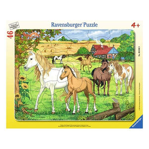 Ravensburger - Puzzle enmarcado - Caballos en el campo, 4+