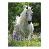 Ravensburger - Puzzle XXL Corsel blanco - 100 piezas, 6 años +