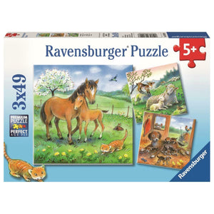Ravensburger - Puzzle Set 3x49 - Kuschelzeit  / Animales cariñosos, 5 -7 años