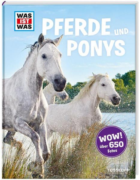 Pferde und Ponys
